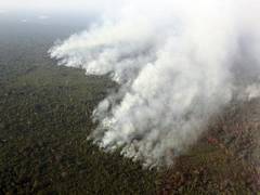 
      
      B-town concerned over Amazon rainforest blaze 
      
      