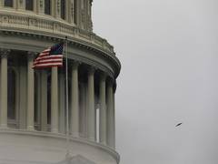 
      
      US Senate passes bipartisan gun safety bill
      
      