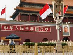 
      
      Xi holds talks with Indonesian President Widodo in Beijing
      
      
