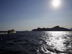 
      
      Sea level could rise more than 1 metre by 2100 if emission...
      
      