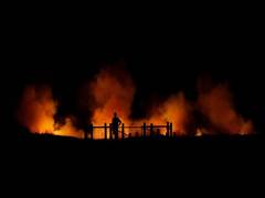 
      
      Australians forced to take refuge on beach amid raging...
      
      