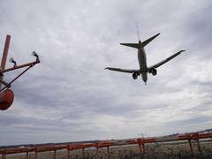 
      
      US: Former Air Force pilot to head FAA
      
      