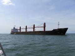 
      
      N Korea's letter on cargo ship seizure by US under review: UN
      
      