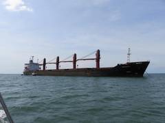 
      
      Cargo ship bound for Venezuela detained in Panama Canal
      
      