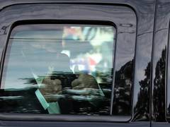 
      
      Trump's 'irresponsible' drive-by is 'astounding': Walter Reed...
      
      
