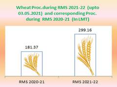 
      
      About 65 pc more wheat procured during current Rabi season
      
      