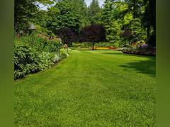 
      
      Farmhouses see jump in demand after new CLU Policy
      
      