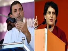 
      
      Rahul, Priyanka to hold poll rallies in Delhi today
      
      