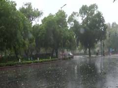 
      
      Delhi, neighbouring areas lashed by strong winds, rain  
      
      