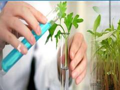 
      
      Rallis India's profit up 24 pc at Rs 67.76 crore in Q1
      
      