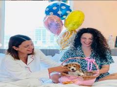 
      
      Kangana Ranaut marks sister Rangoli's birthday by introducing...
      
      