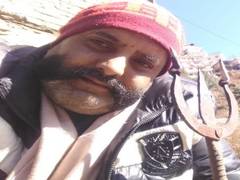 
      
      Shimla youth seeks appointment as executioner in Tihar to...
      
      