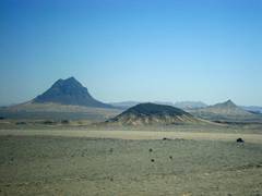 
      
      Pakistan: Balochistan's PTI chief seeks truth commission on...
      
      