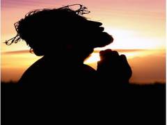 
      
      HIV patients experience improved quality of life if...
      
      