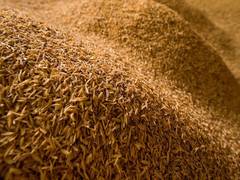 
      
      Pak's rice export association expresses concern over...
      
      