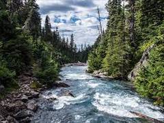 
      
      Antibiotics contamination in many rivers have crossed 'safe'...
      
      
