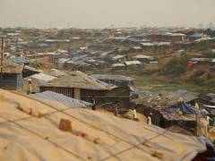 
      
      Myanmar officials hold repatriation talks with Rohingya in...
      
      