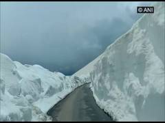 
      
      Rohtang Pass re-opened after 6 months
      
      