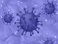 
      
      Researchers pinpoint how Zika virus evades cell's antiviral...
      
      
