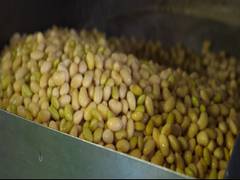 
      
      Soybean: A popular ingredient of Japanese cuisine
      
      