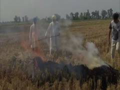 
      
      Punjab farmers deny getting help from govt, continue to burn...
      
      