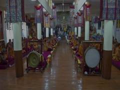 
      
      Tibetans celebrate Buddha's life on full moon of Saka Dawa 
      
      