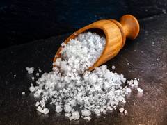 
    High-salt diet impacts health of gut microbiome
    