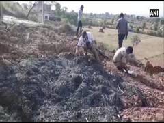 
      
      Rajasthan: Temple priest dies after being set on fire over...
      
      