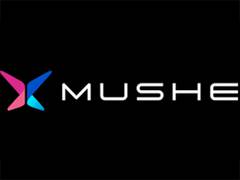 
      
      Internet Computer, Axie Infinity, Mushe Token are crypto investem
      
      
