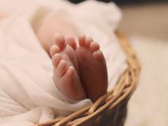 
      
      Poverty, crime can influence brain development of babies: Study
      
      