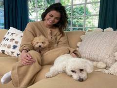 
      
      Selena Gomez assures her beauty brand products will be...
      
      
