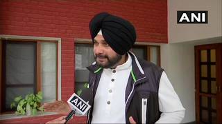 
      
      Govt 'not able to discern' between trees and structures, says...
      
      