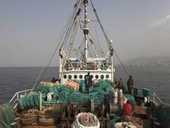 
     China over exploiting Sierra Leone's marine resources, adversely affecting economy
    