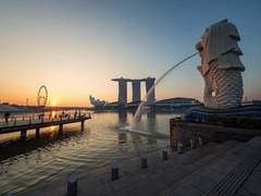 
      
      Singapore tourism industry faces long winter
      
      
