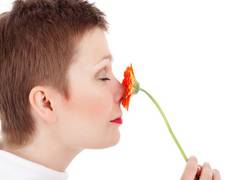 
      
      New study links sense of smell with pneumonia
      
      