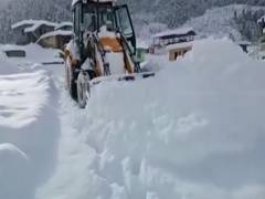 
      
      U'khand: Heavy rain, snowfall cripple life in Uttarkashi
      
      