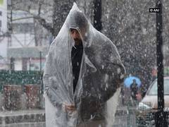 
      
      J-K receives fresh snow, farmers expect bumper production
      
      