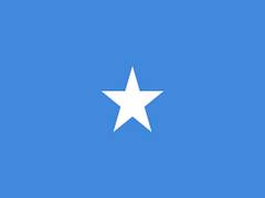 
      
      Somali forces end 4-hour siege at Mogadishu hotel, 10 killed
      
      
