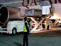 
      
      Made-in-India vaccines airlifted for Somalia
      
      