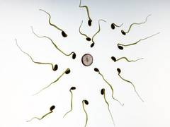
    Obesity in men affects fertility, inhibits childbirth: Study
    