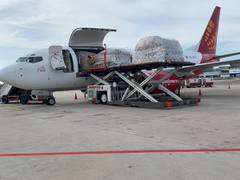 
      
      SpiceJet halves net loss sequentially to Rs 57 crore in Q3
      
      