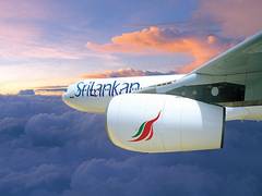 
      
      SriLankan Airlines strengthens presence in US, Europe with...
      
      