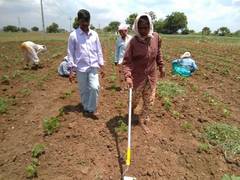 
      
      Telangana women farmers lead the way to safer agriculture
      
      