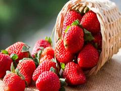 
      
      Hepatitis A outbreak in US, Canada sparked by strawberries: FDA
      
      