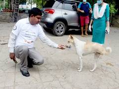 
      
      This International Dog Day make your locality animal friendly
      
      