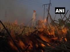 
      
      EPCA writes to Chief Secretaries of Punjab, UP and Haryana to...
      
      