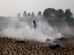 
      
      Disqualify farmers burning stubble on panchayat land: Punjab...
      
      