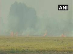 
      
      Punjab: Farmers continue to burn crop residue in Ludhiana...
      
      