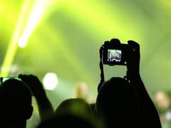 
      
      London Film Festival to go virtual for 2020 edition
      
      