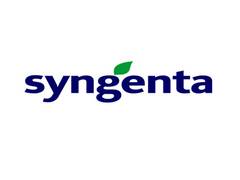 
      
      Syngenta paving way for women's empowerment in rural areas
      
      